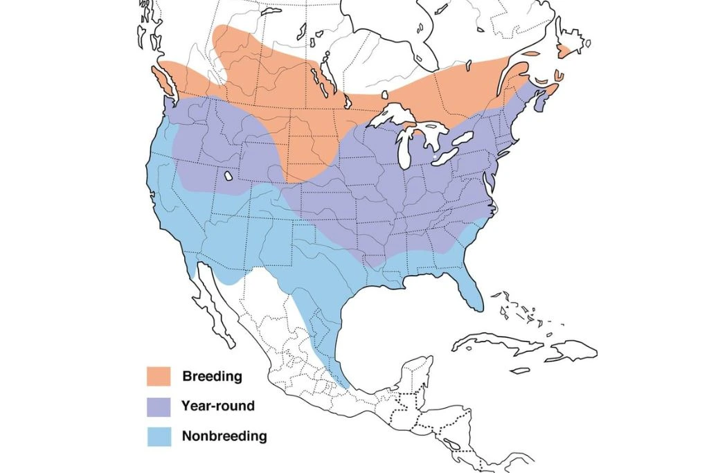 American Goldfinch Range Map