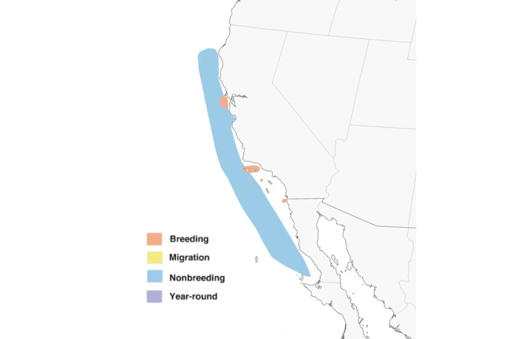 Ashy Storm Petrel Range Map