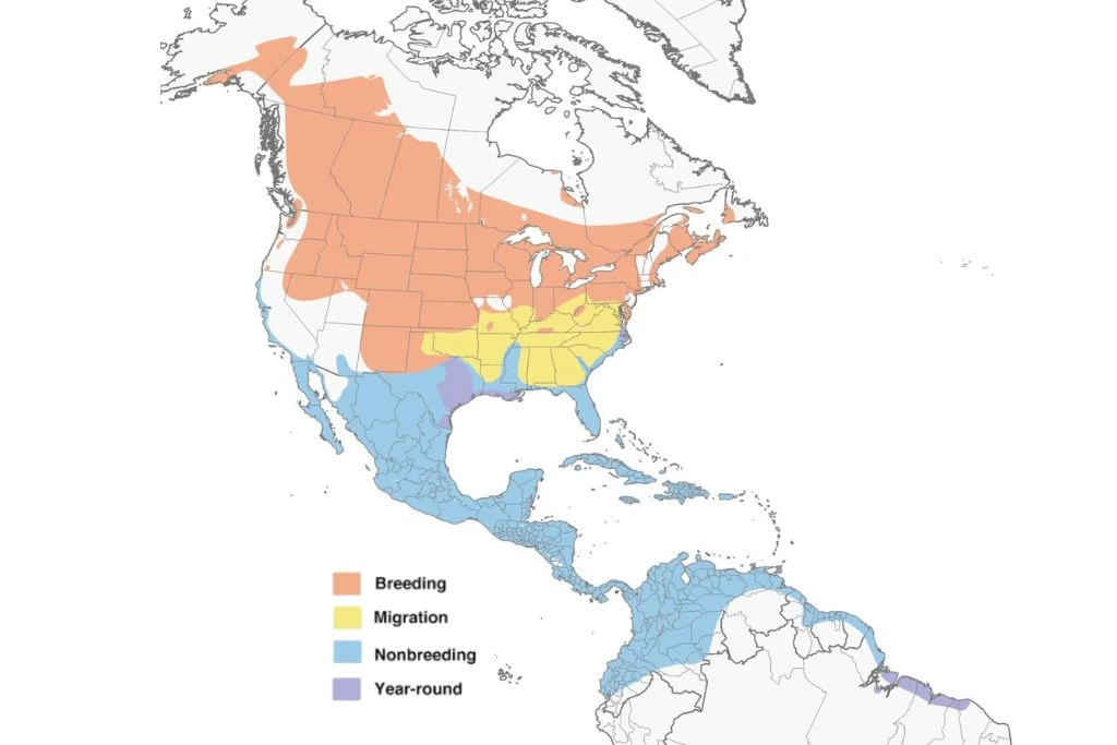 Blue-winged Teal Range Map