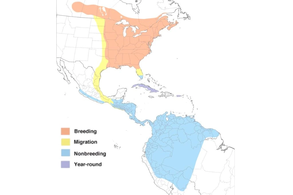 Broad-Winged Hawk Range Map