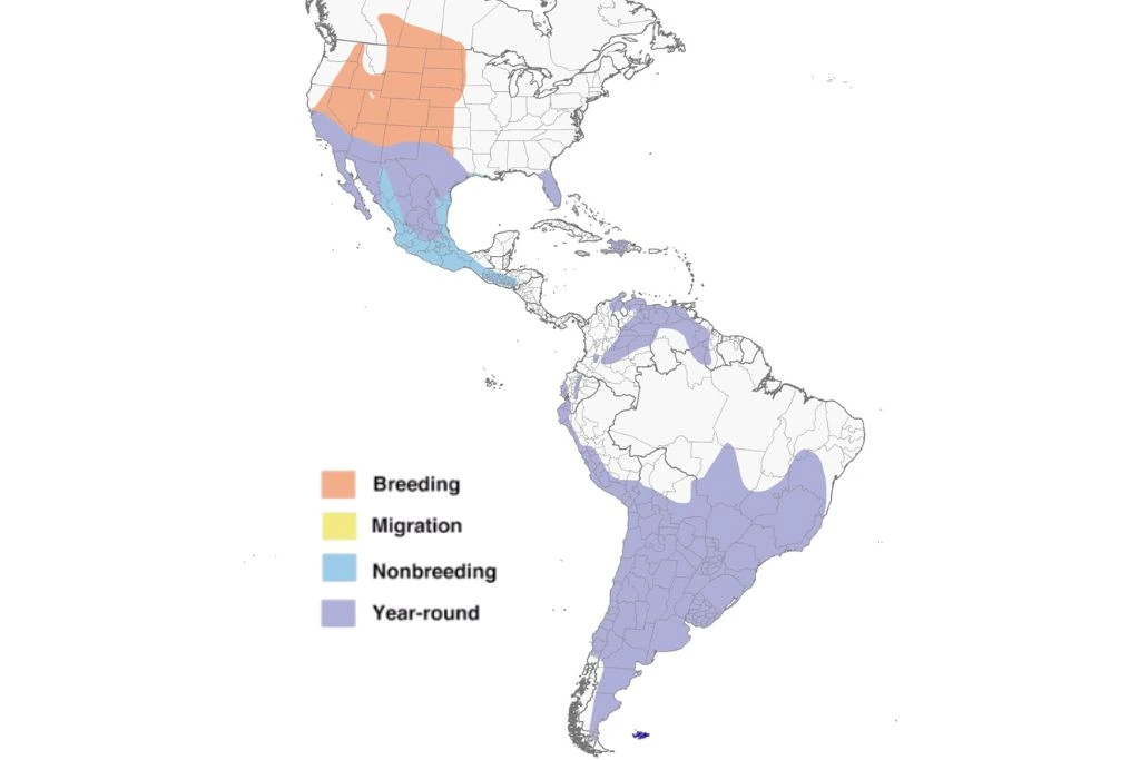 Burrowing Owl Range Map