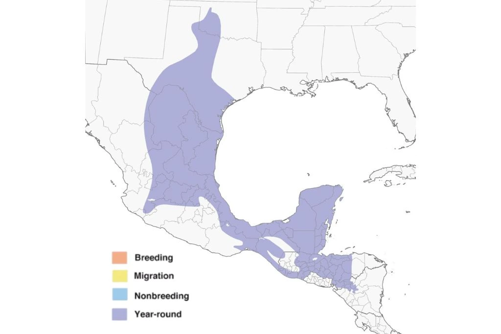 Golden-Fronted Woodpecker Range Map