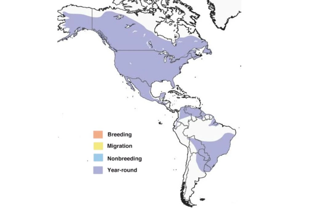 Great Horned Owl Range Map