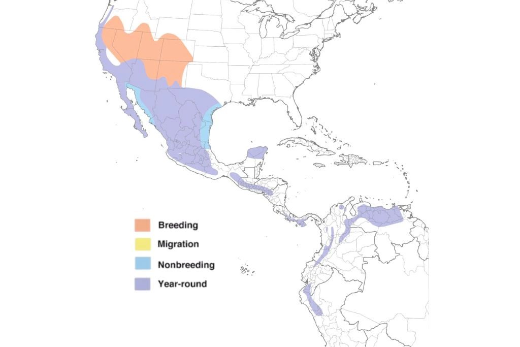 Lesser Goldfinch Range Map
