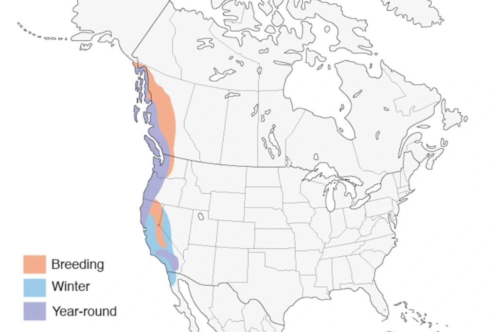 Red-Breasted Sapsucker Range Map