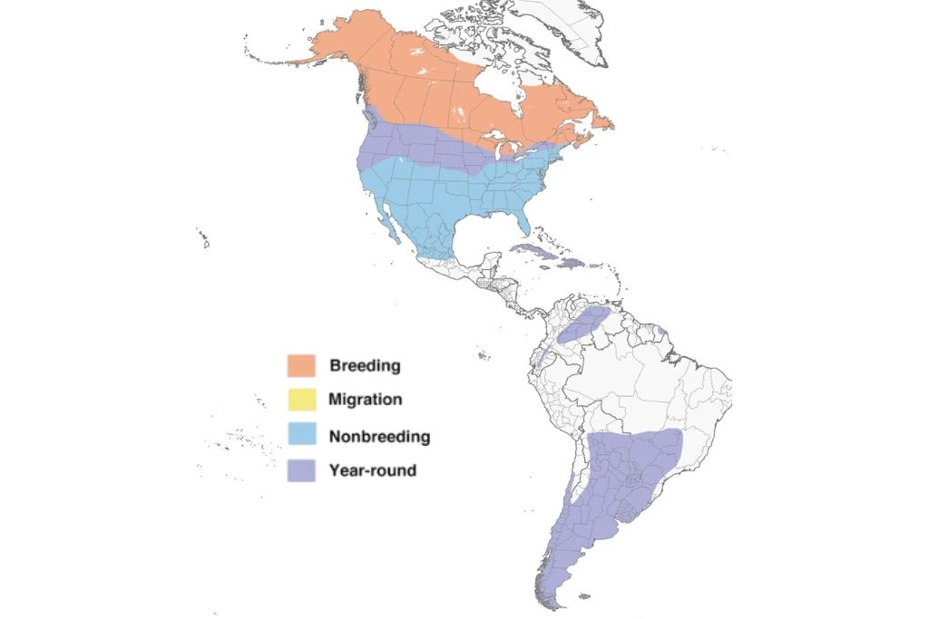 Short-Eared Owl Range Map