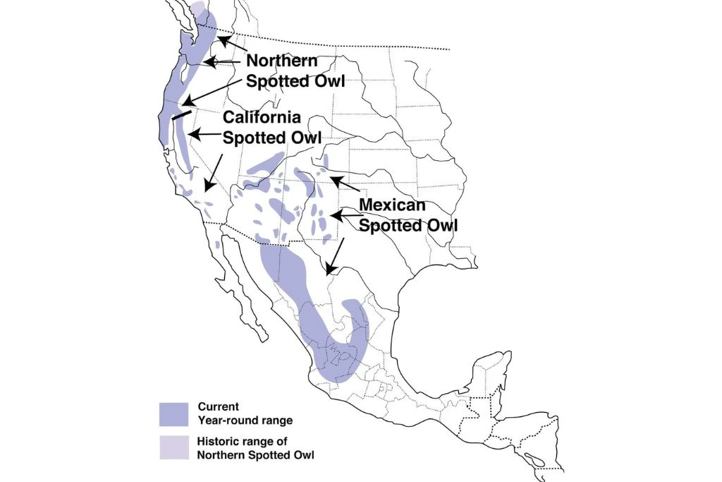 Spotted Owl Range Map