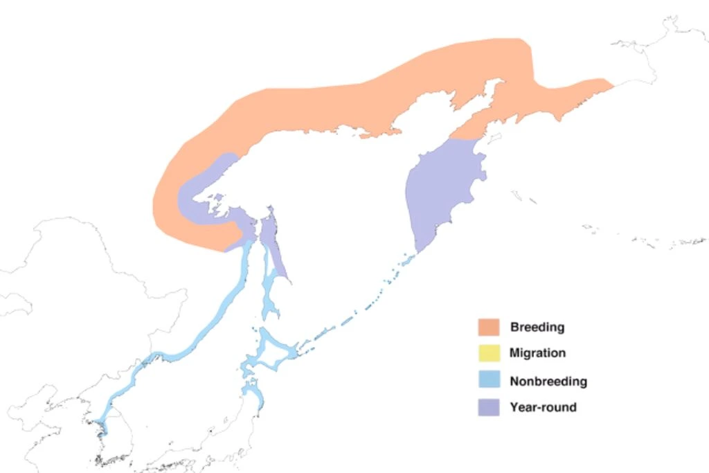 Steller's Sea Eagle Range Map