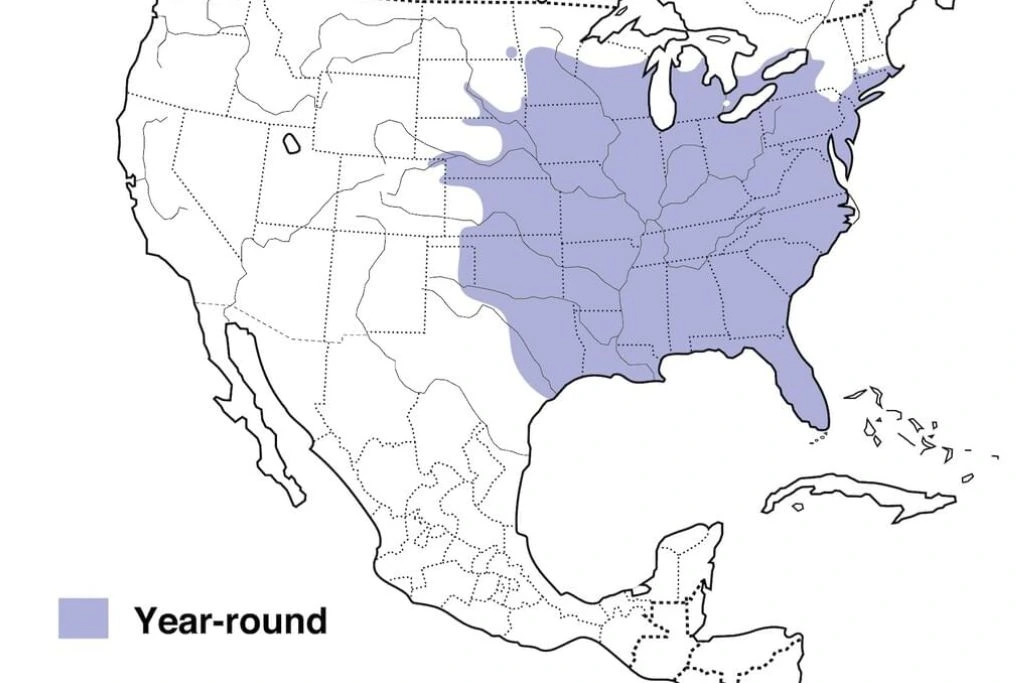Red-Bellied Woodpecker Range Map