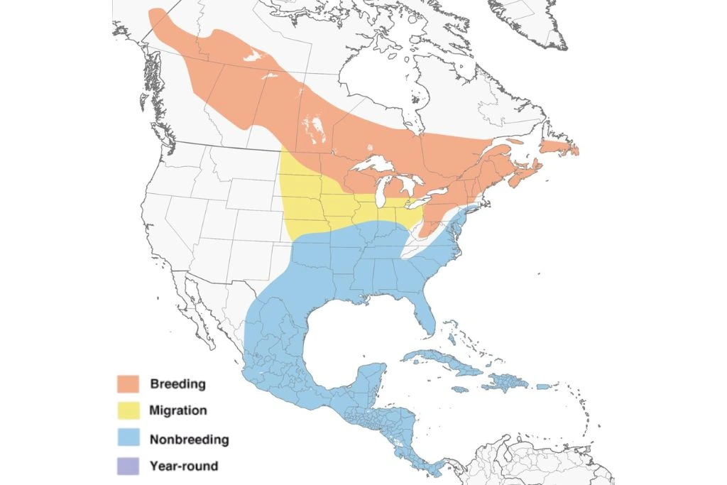 Yellow-bellied Sapsucker Range Map