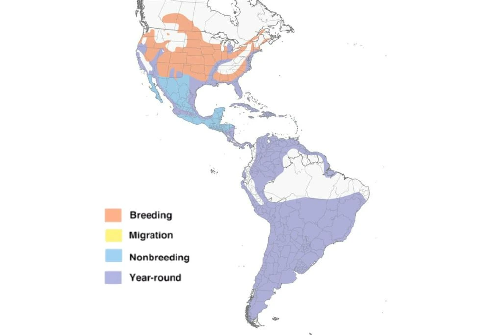 Black-Crowned Night Heron Range Map