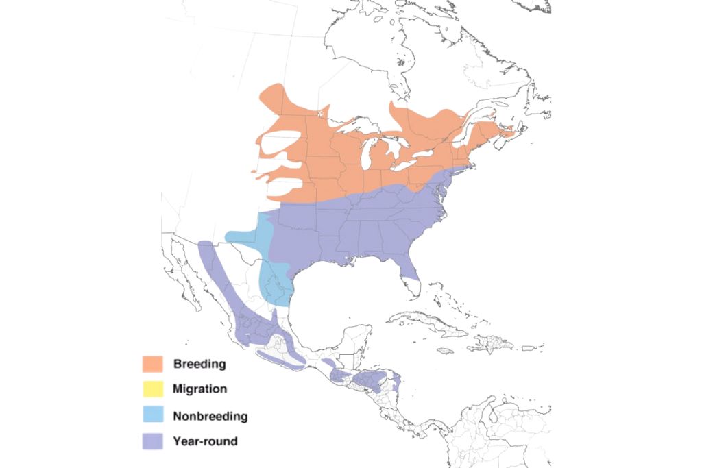 Eastern Bluebird Range Map