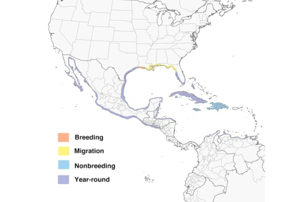 Reddish Egret Range Map