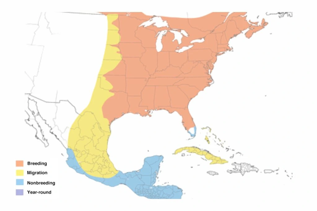 Ruby Throated Hummingbird Range Map