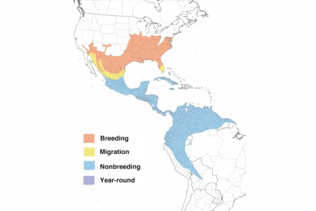 Summer Tanager Bird Range Map