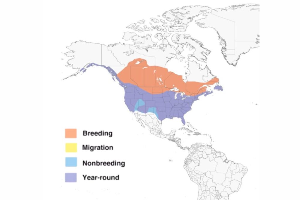 American Crow Range Map