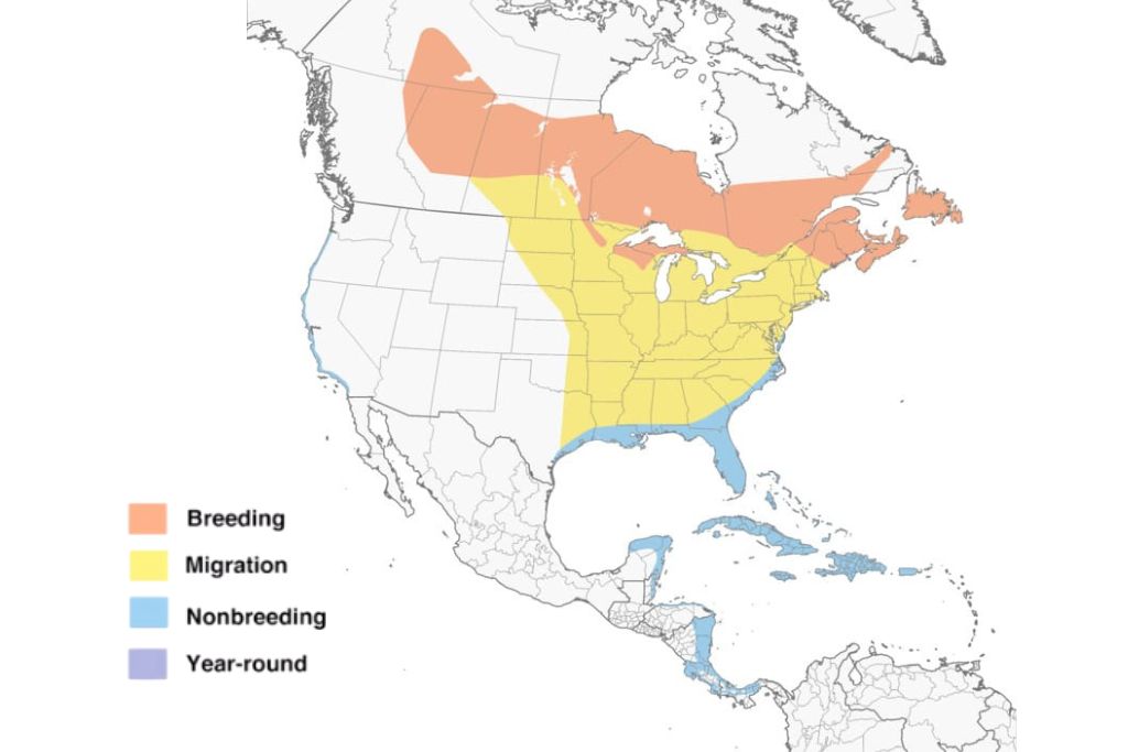 Palm Warbler range map