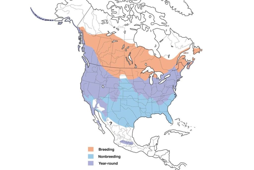 Song Sparrow range map