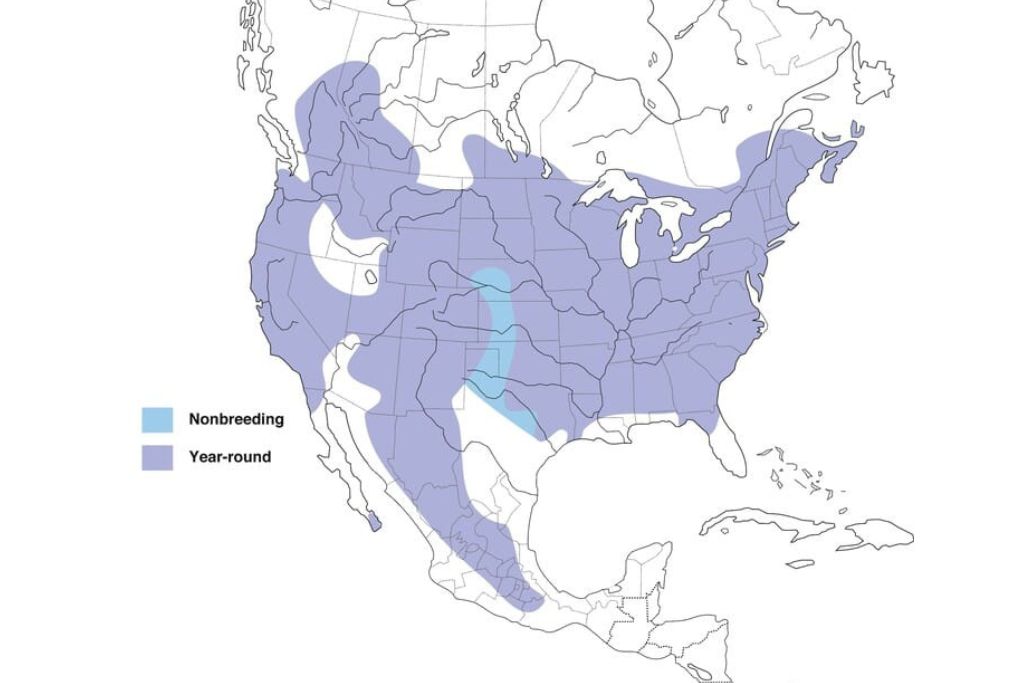 White-Breasted Nuthatch range map