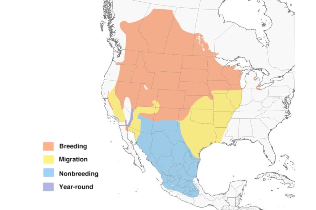 Yellow-Headed Blackbird range map