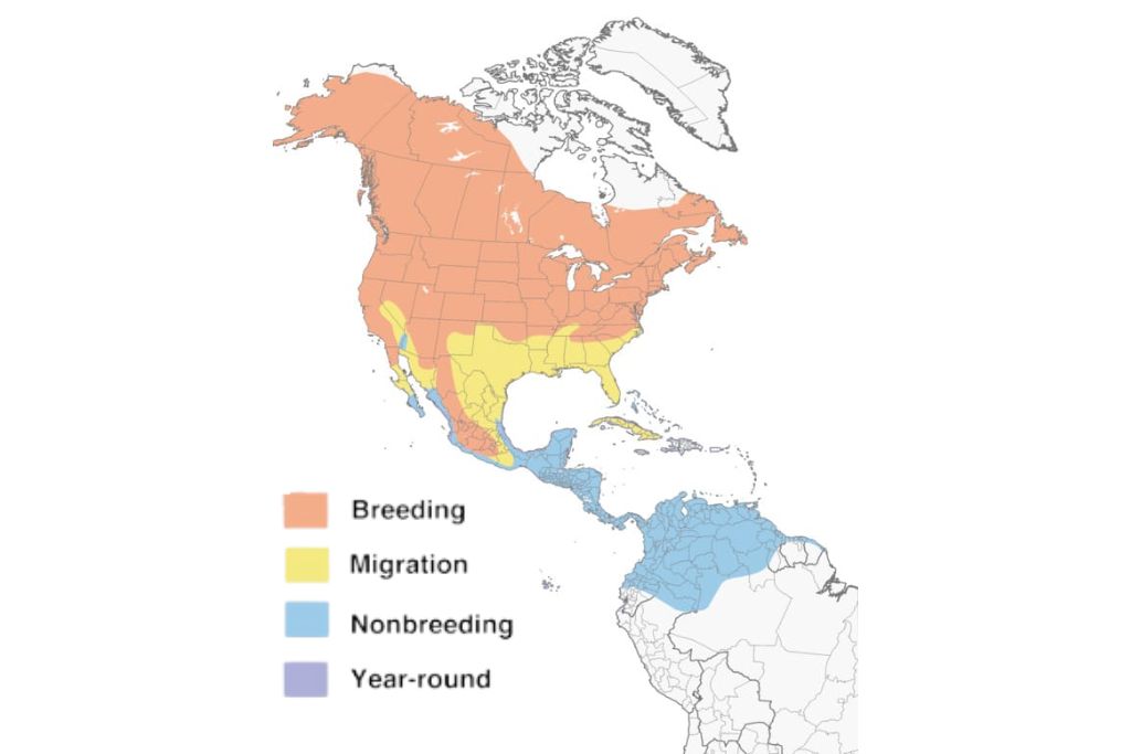 Yellow Warbler range map 