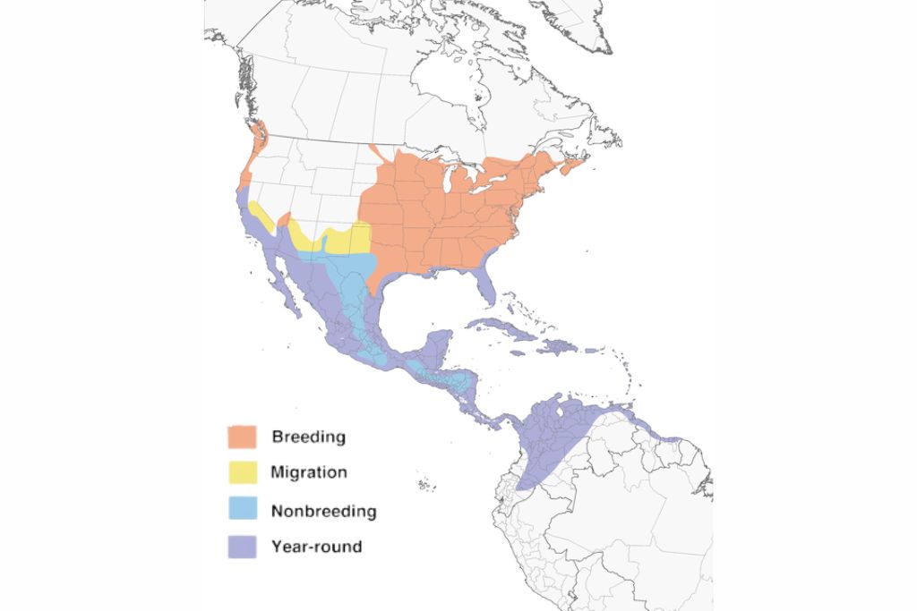 Green Heron Range Map