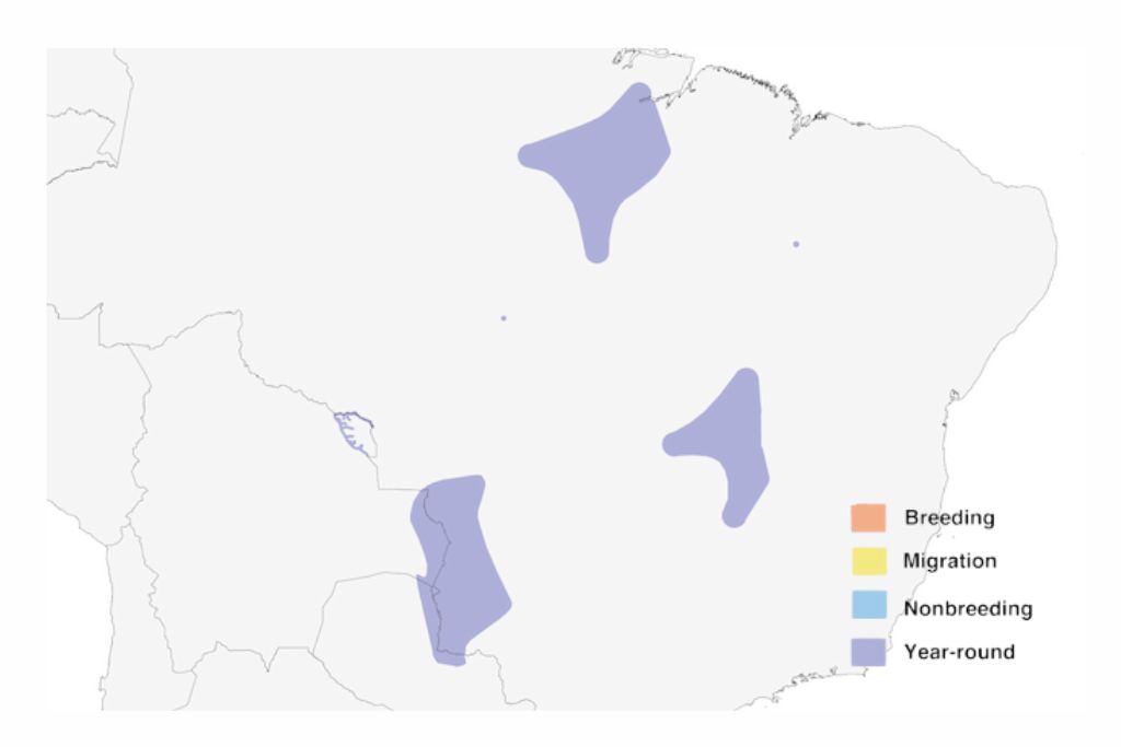 Hyacinth Macaw Range Map