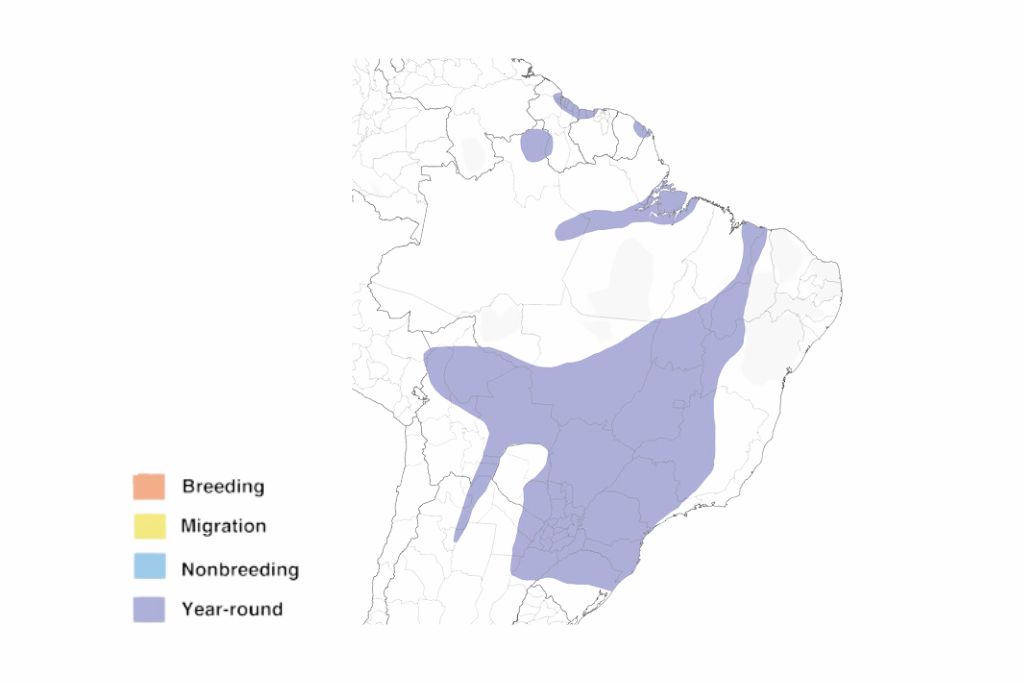 Toco Toucan Range Map