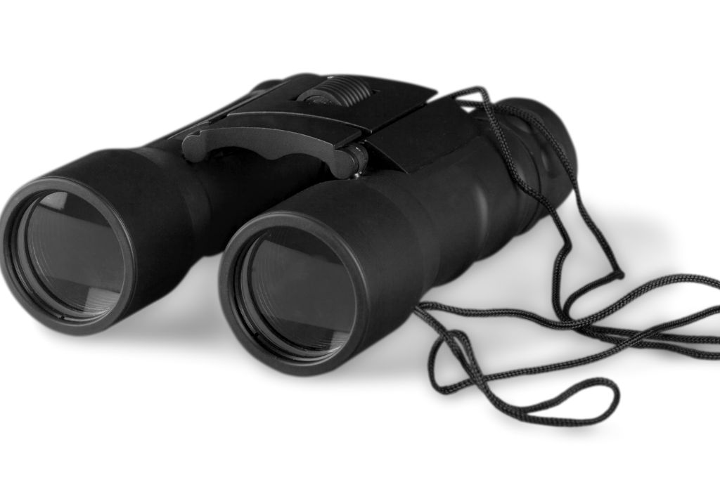 Full-Size Binocular on a white background